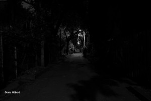19852217512_1e67df3a17_z